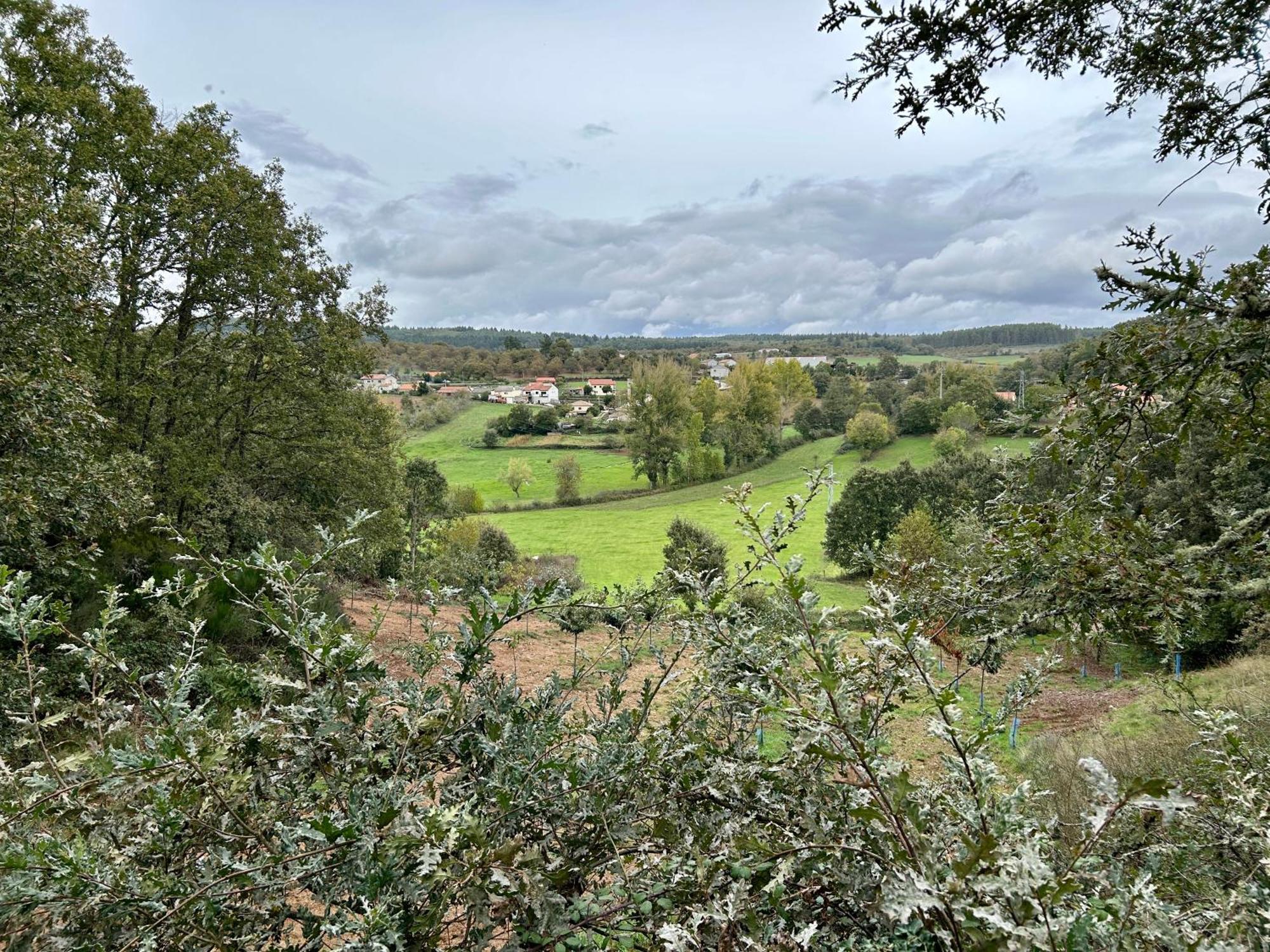 Casa Do Souto - Nature & Experiences - Turismo Rural Bragança Kültér fotó