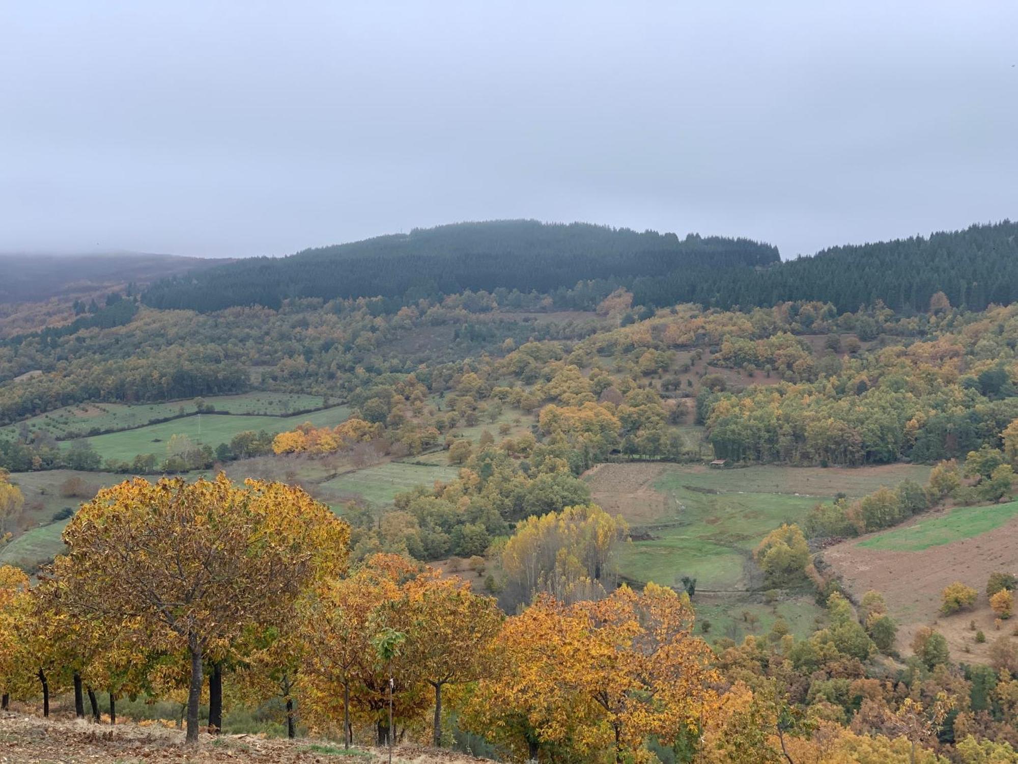 Casa Do Souto - Nature & Experiences - Turismo Rural Bragança Kültér fotó